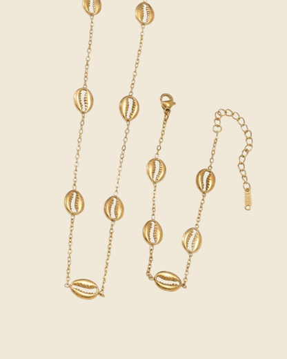 Gold Cowrie Shell Titanium Steel Chain Set