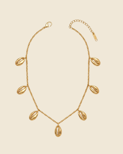 Gold Cowrie Shell Titanium Steel Chain Set