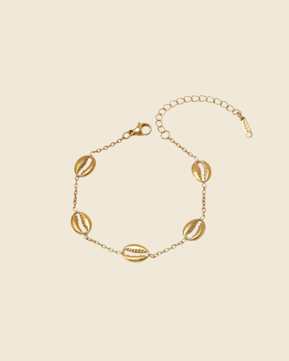 Gold Cowrie Shell Titanium Steel Chain Set
